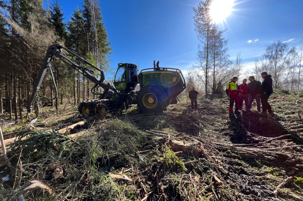 Bildet viser hogst i en skog
