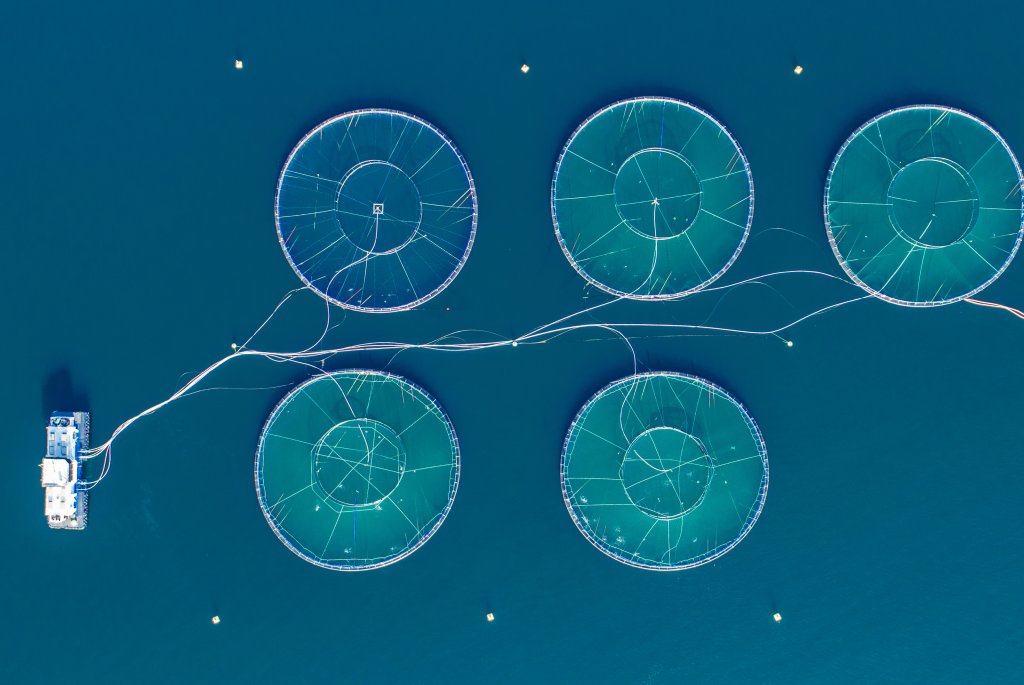 Salmon fish farm. Hordaland, Norway.