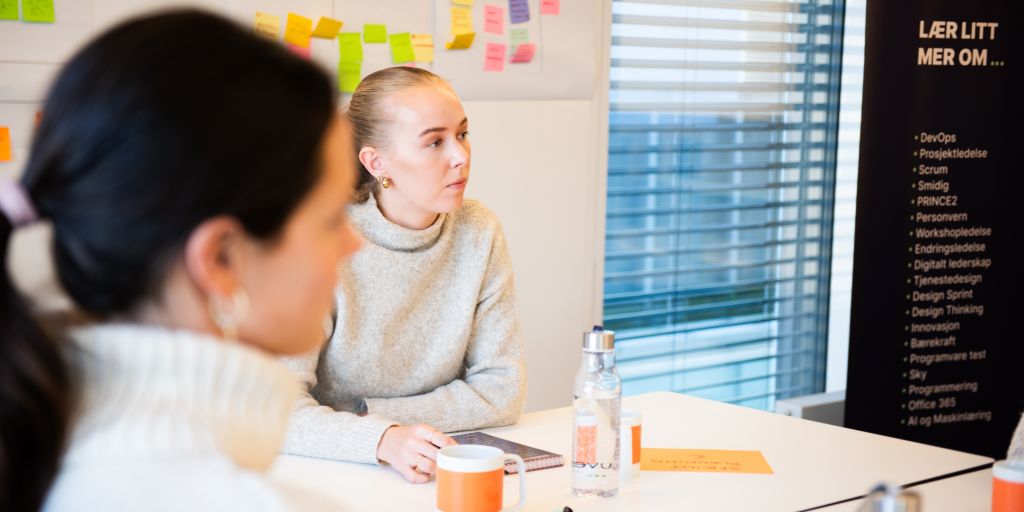 Designdrevet innovasjonsmetodikk - for økt innovasjon med brukeren i sentrum