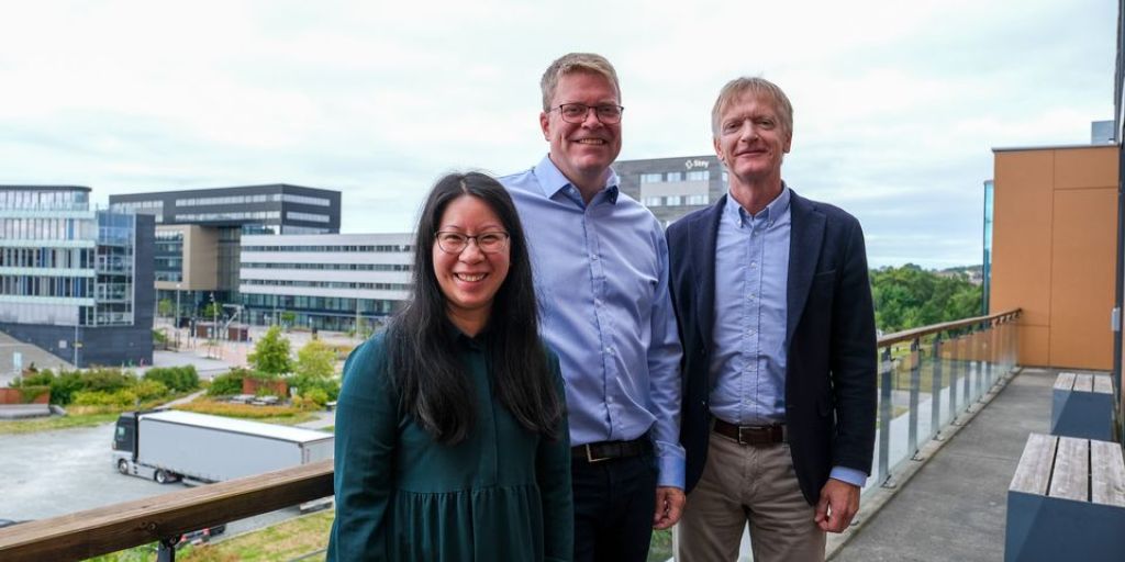 Sokkeldirektoratet velger Bouvet til utviklingen av Faktavarehus 2.0