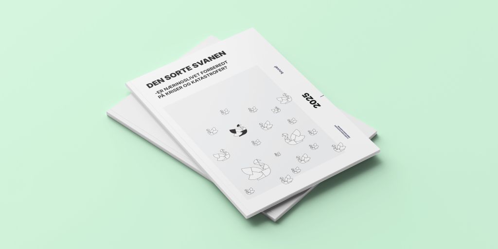 Rapport: Den sorte svanen 