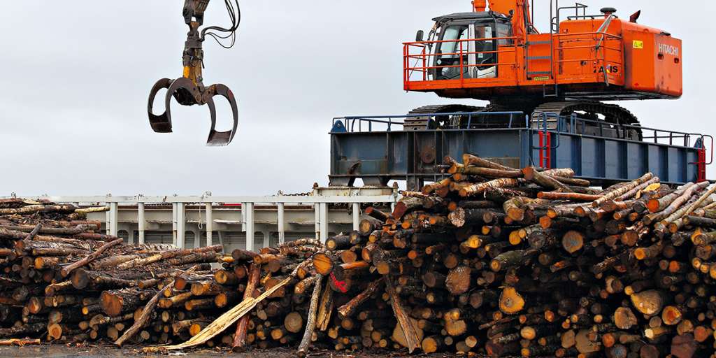 Plukke tømmer statkraft