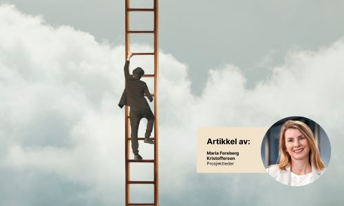 5 kjøreregler for mestring av IT-leveranser 