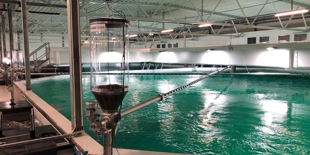 Industriell IOT for bærekraftig og lønnsom fiskeoppdrett